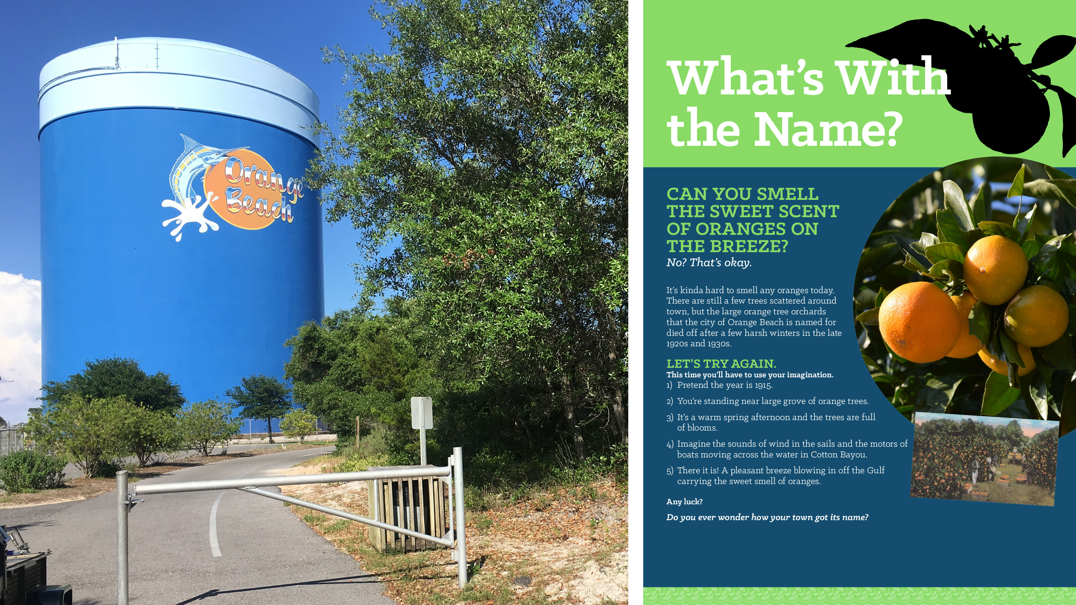 Orange Beach Interpretive Sign