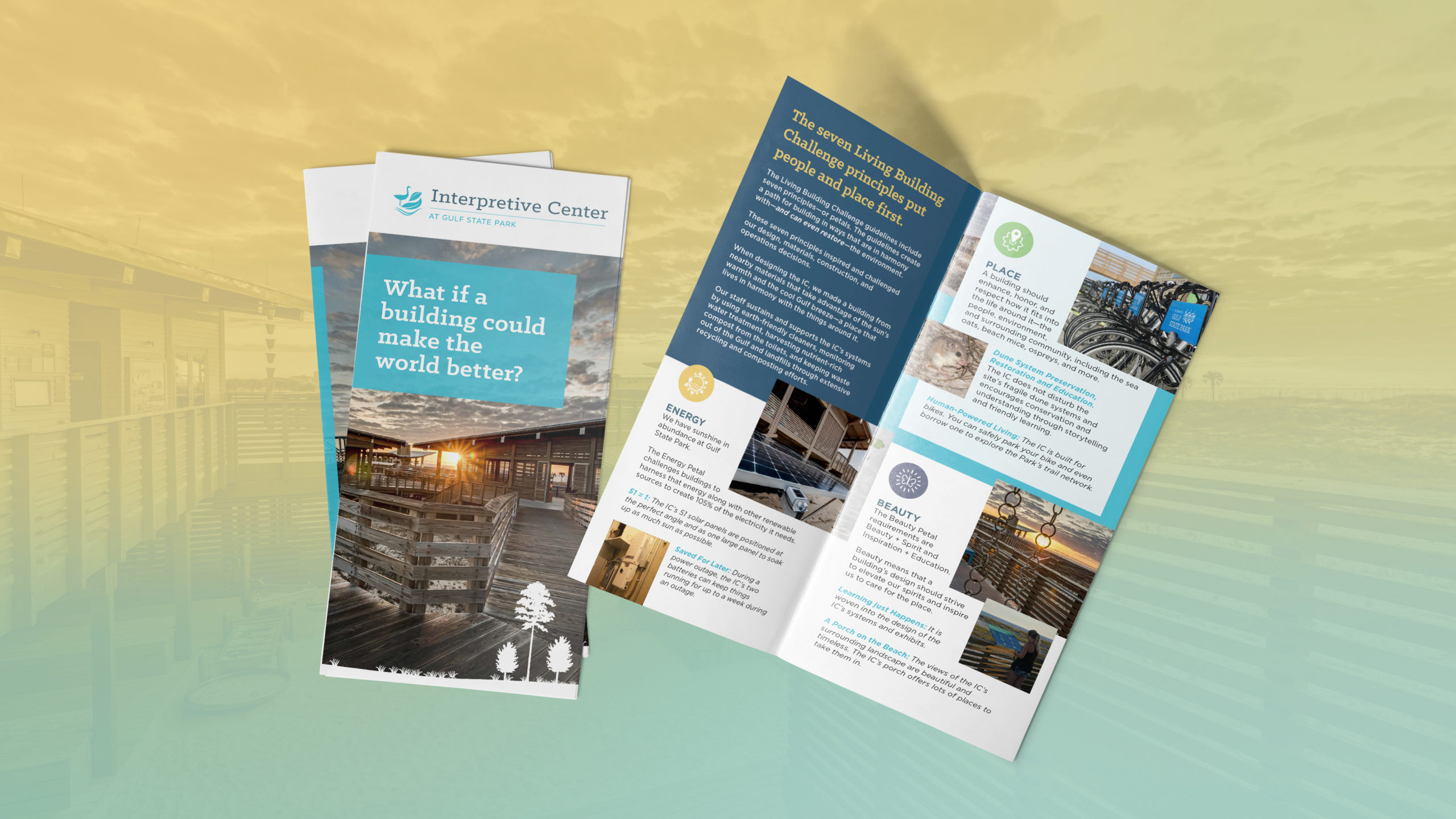 Alabama Gulf State Park Interpretive Center Brochure Design