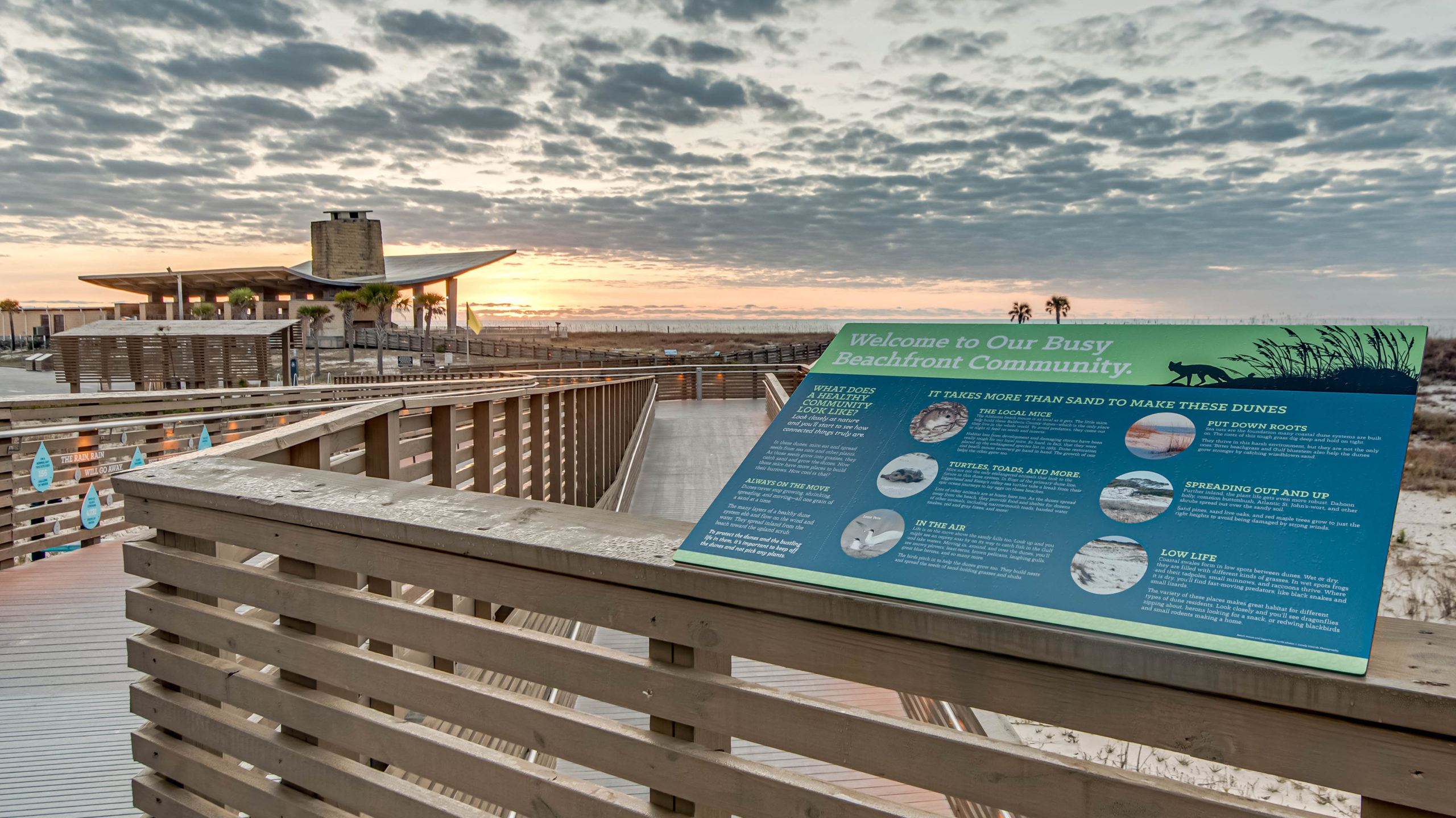 Alabama Gulf State Park Interpretive Center interpretive sign about beach wildlife