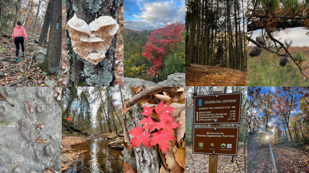 10 things seen along a Devils Nose trail hike in October 2022